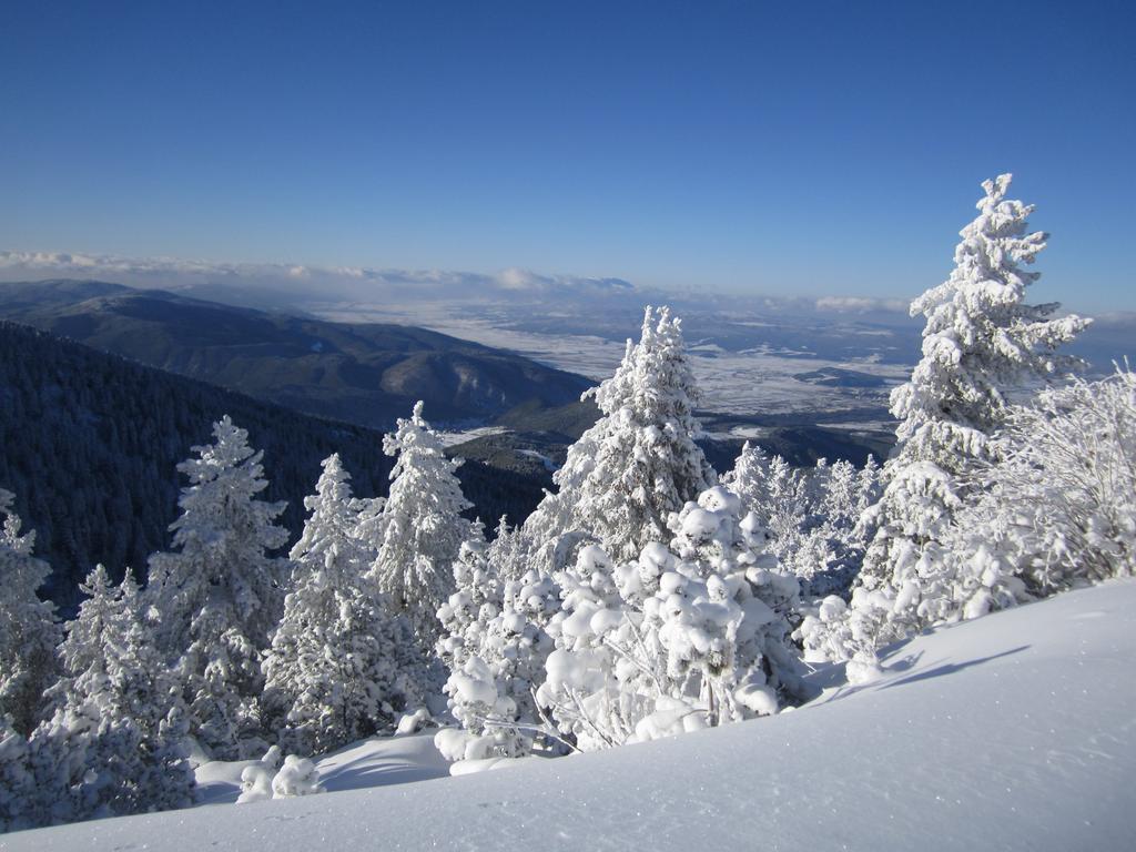 Tes Royal Plaza Apartments Borovets Exterior foto